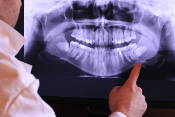 Best Orthodontic Emergency Dentist in Douglas, MI