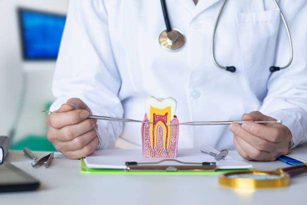 Best Weekend Emergency Dentist in Douglas, MI